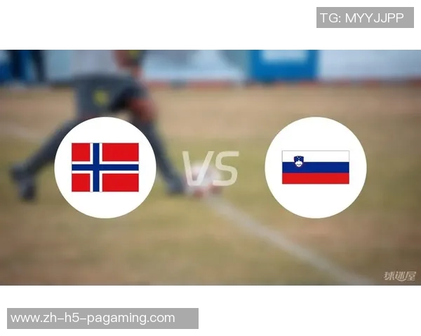 挪威与斯洛文尼亚足球对决精彩回顾与战术分析